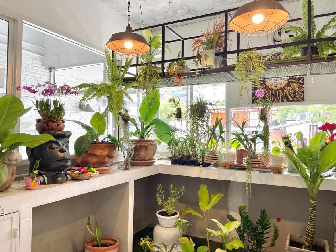 Cafe Home Chiang Mai Zewnętrze zdjęcie